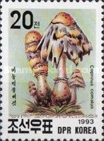 Coprinus comatus
