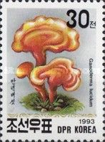 Ganoderma lucidum