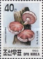 Lentinus edodes