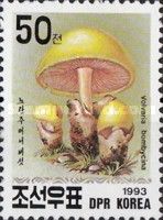 Volvariella bombycina