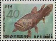 West Indian Ocean Coelacanth (Latimeria chalumnae)