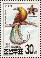 Lesser Bird-of-paradise (Paradisaea minor)