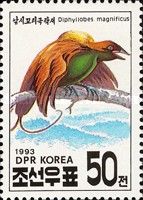 Magnificent Bird-of-paradise (Diphyllodes magnificus)