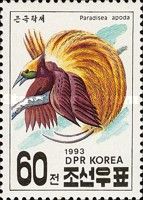 Greater Bird-of-paradise (Paradisaea apoda apoda)