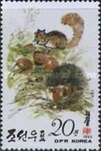 Squirrel collect chestnuts