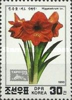 Hippeastrum Sp.