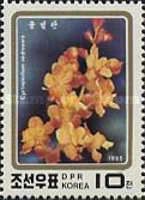 Cyrtopodium andresoni