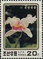 Cattleya CV