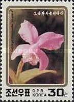 Cattleya intermedia "Oculata"