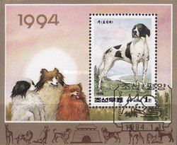 Pointer (Canis lupus familiaris)