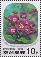 Primula polyantha