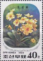 Primula polyantha