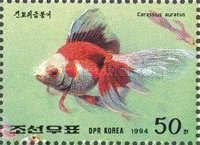 Goldfish (Carassius auratus auratus)