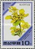 Chrysosplenium pilosum sphaerospermum