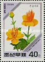 Trollius macropetafus