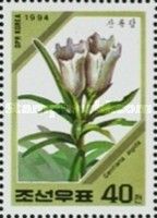 Gentiana algida
