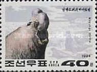 Southern Elephant Seal (Mirounga leonina)