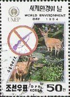 World Environment Day - Animal Protection