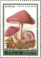 Russula atropurpurea