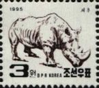 White Rhinoceros (Ceratotherium simum)
