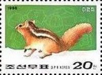 Siberian Chipmunk (Eutamias sibiricus)
