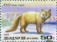 Arctic Fox (Alopex lagopus)