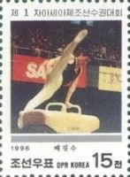 Pae Kil Su (North Korea)