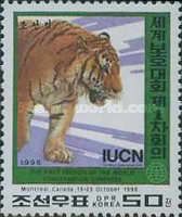 Tiger (Panthera tigris)