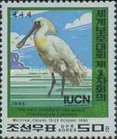Black-faced Spoonbill (Platalea minor)