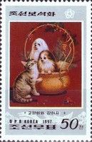 Two dogs in baskett, kitten