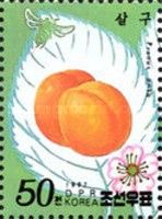 Prunus ansu