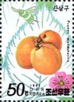 Prunus mandshurica