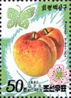 Prunus armeniaca