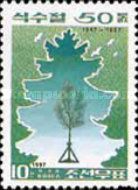 Pine sapling