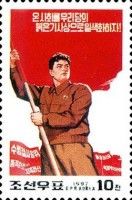 Man with flag