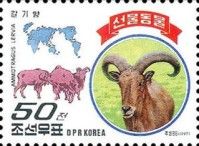 Barbary Sheep (Ammotragus lervia)
