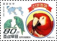 Scarlet Macaw (Ara macao)