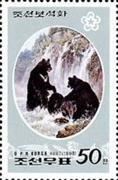 Asian Black Bear (Ursus thibetanus)