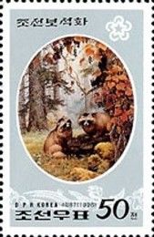 Raccoon Dog (Nyctereutes procyonoides)