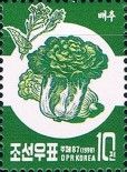 Cabbage