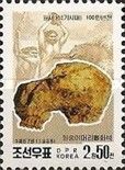 Fossil monkey skull