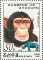 Chimpanzee (Pan troglodytes)