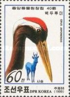 Red-crowned Crane (Grus japonensis)
