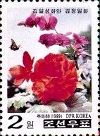 Kimilsungia and Kimgongilia