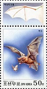 Bat