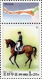 Rider on horseback