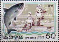 Silver Carp (Hypophthalmichthys molitrix)