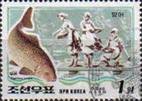 Common Carp (Cyprinus carpio)