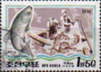 Bighead Carp (Aristichthys nobilis)
