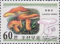 Lactarius volemus